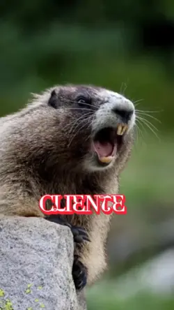 Chamando cliente