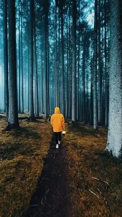 VLOG 13 video