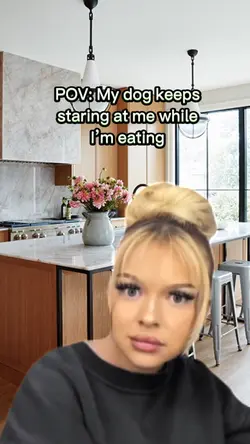 Dog Mom Meme