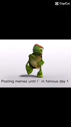 Goofy turtle