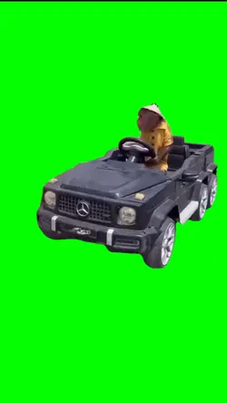 Monkey drive car 