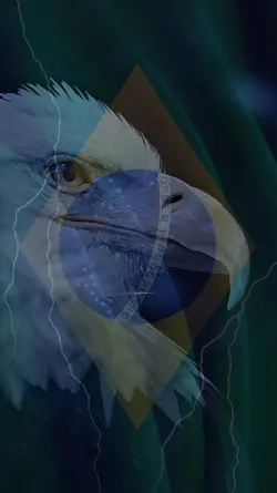 EAGLE COUNTRY FLAG