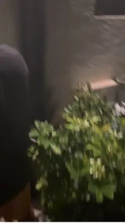 house almost burned