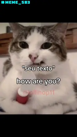 hello cat