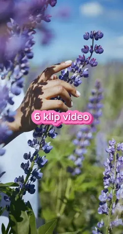Cinematic video