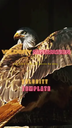 Velocity Motivation⚡️