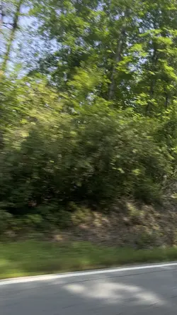 The rain | slow mo 