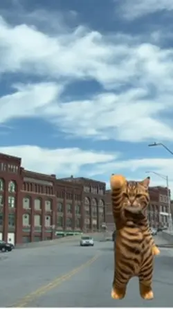 dancing cat 