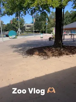 Vlog
