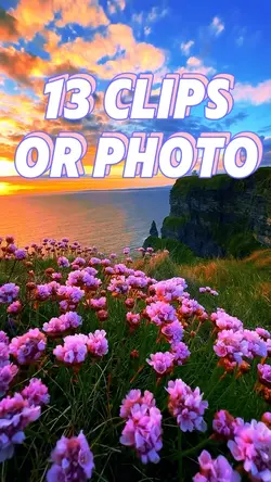 13 clips or photo 