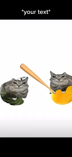Bonk