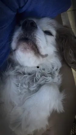 I Miss You