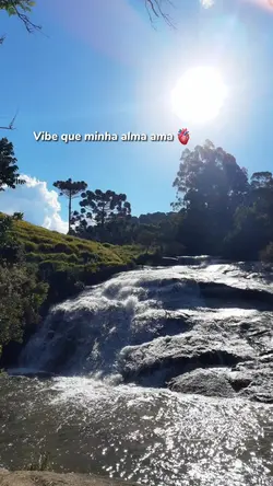 Vibe, minha alma ama