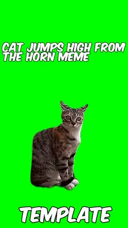 Cat jumps high 