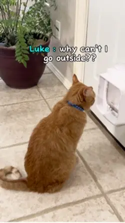 Why can’t I go out?