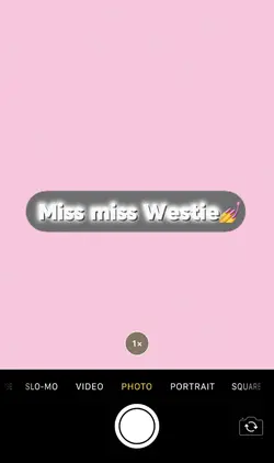 Miss