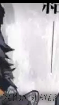 Demon slayer Hashira