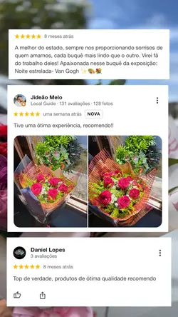 Feedback - avaliação