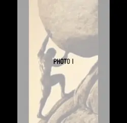 Have fun