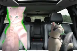 Family trip