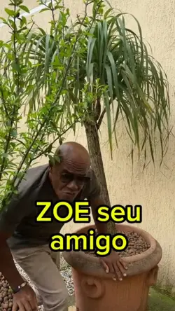 zoe seu amigo gabrie