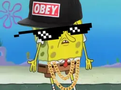 Spongebob roast 4