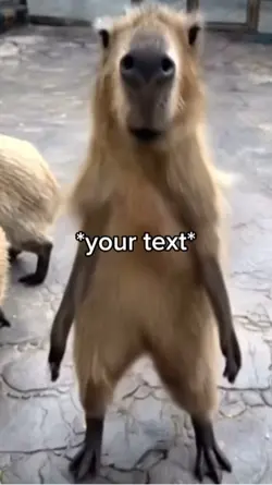Dancing meme