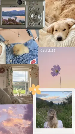 cute collage!! 🌼 📷 🧸