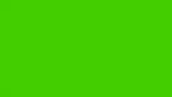 Scan green scree