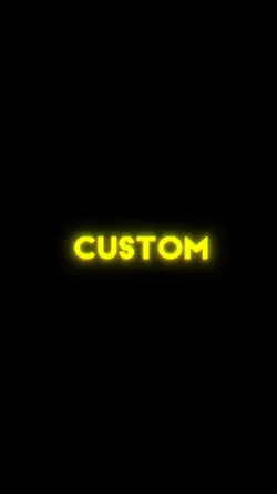 Customs Lyrics