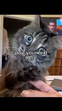 ivar looks at you.
