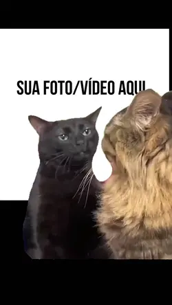 GATO PRETO