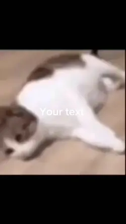 Cha cha real smooth 