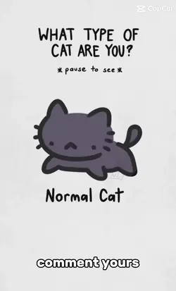 what cat are you?