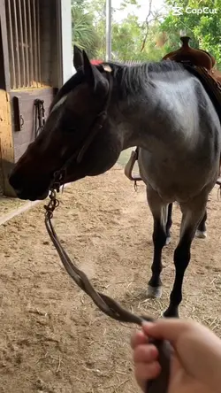 Pretty girl