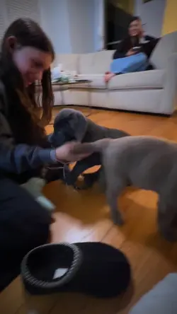 i love bleu babyy