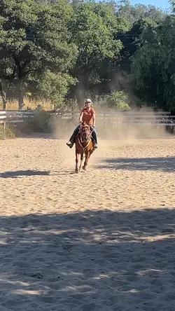 back in the saddle