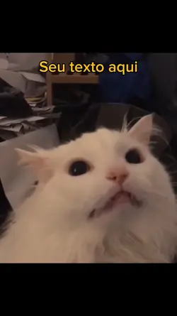 Meme gato gritando
