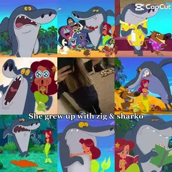 Zig and Sharkooo 😻