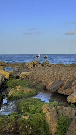 Verão praia