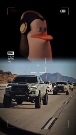 penguin