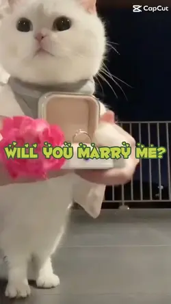Will ya?