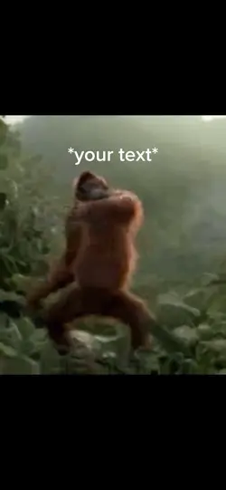 Move it move it