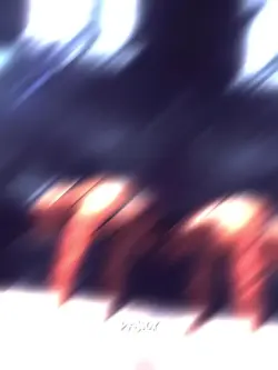 gym  velocity
