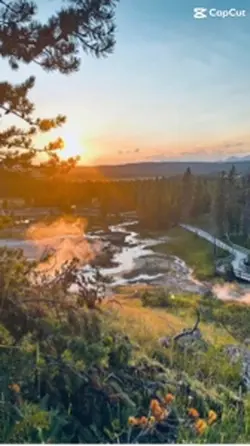 Summer Yellowstone!