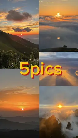 5 picture template