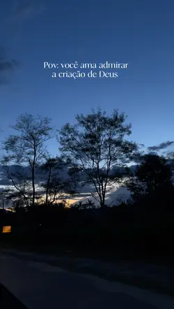 Criação 