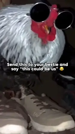 Send To Bestie