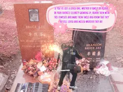 Rest in Paradise 