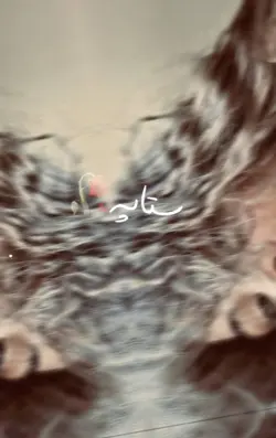 زړه می نری نری خوگیگ